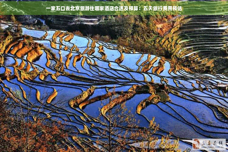 一家五口去北京旅游住哪家酒店合适及预算：五天旅行费用预估