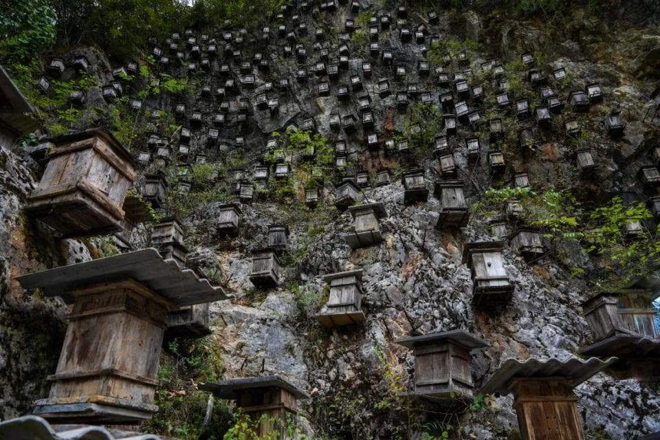 神农架：湖北与重庆交界处的神秘仙境，六大景区各具特色，秋季赏红叶正当时