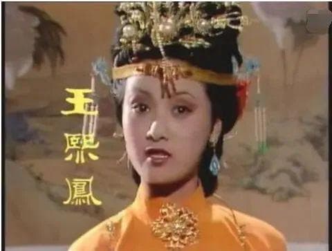 品一品《红楼梦》中泼皮破落户“凤辣子”王熙凤
