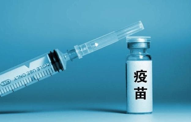 猪场免疫接种操作流程详解