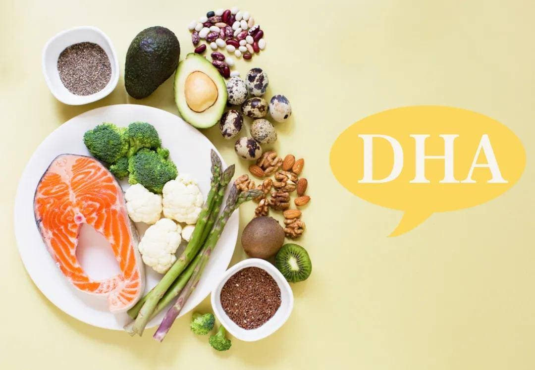DHA不仅是脑黄金，更是健康好帮手