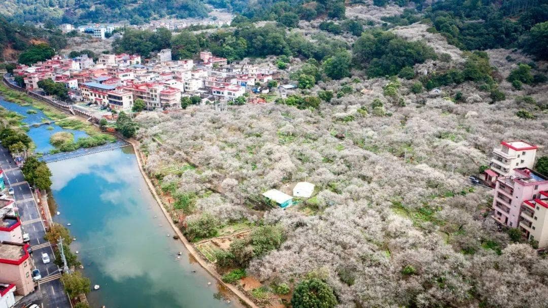 “揭阳十佳美食旅游线路”之“游天然氧吧·品客家美食”