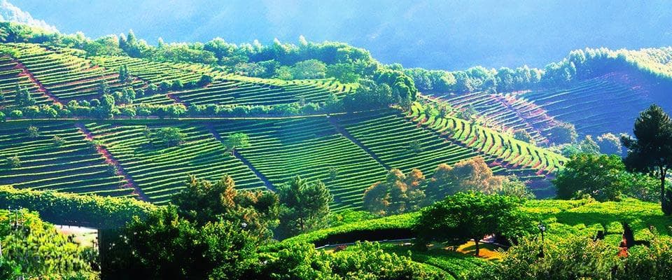 梅州市旅行攻略：客家文化的瑰宝与自然风光的交融
