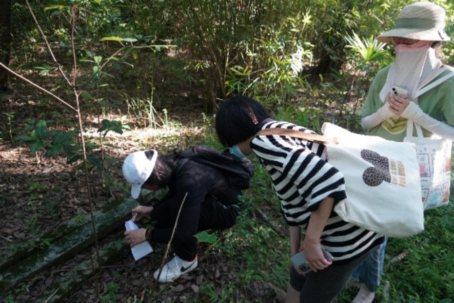 生物多样性｜浦东新区苔藓植物多样性调查：探索城市“绿绒地毯”