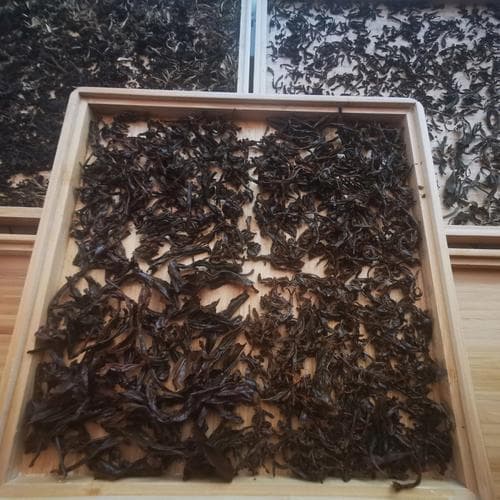 探秘福建红茶：历史渊源、制作工艺和品鉴技巧