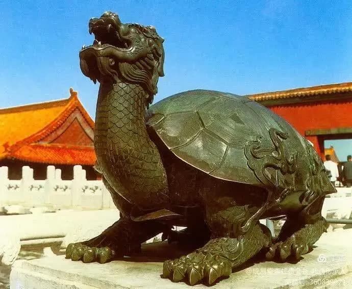 龙龟的寓意及摆放要求