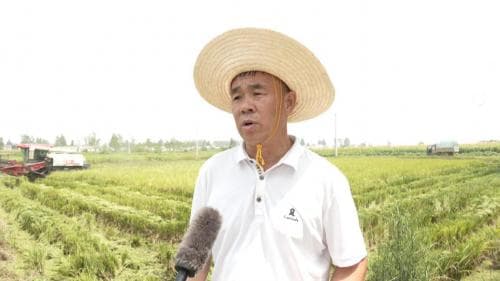 小院播耕科技火，头雁引领富途宽