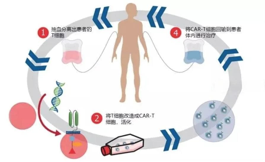 抗“狼”新武器——红斑狼疮治疗新进展盘点