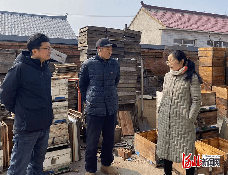 技术指导 | 蜜蜂春繁要做好七项核心工作