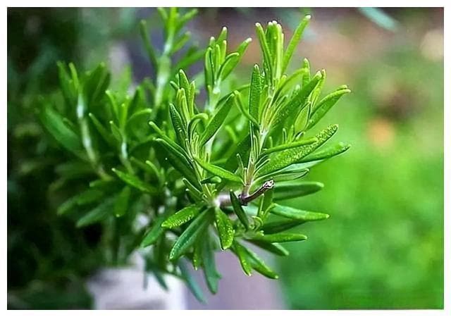 真正的高情商，藏在人际交往的9个细节中