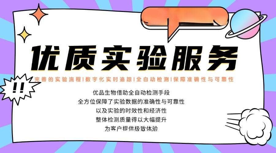 乙肝表面抗原 ELISA 操作过程中，哪些因素会影响结果的准确性？