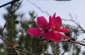 怎么培养孩子的自主人格