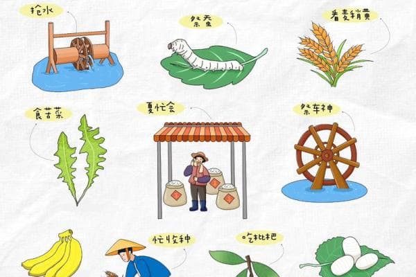 探秘小满节气的农历文化与传统农事活动