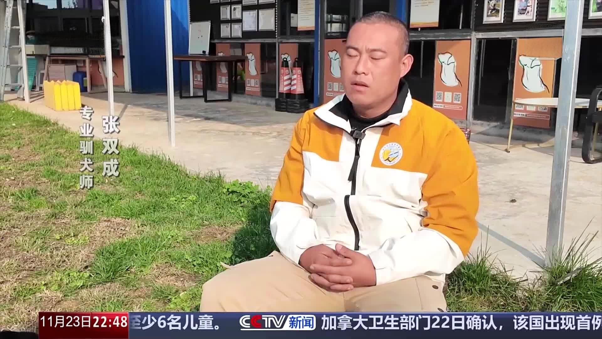 “是伙伴，也是家人” 爆火出圈的导盲犬“么么”是如何训练的？