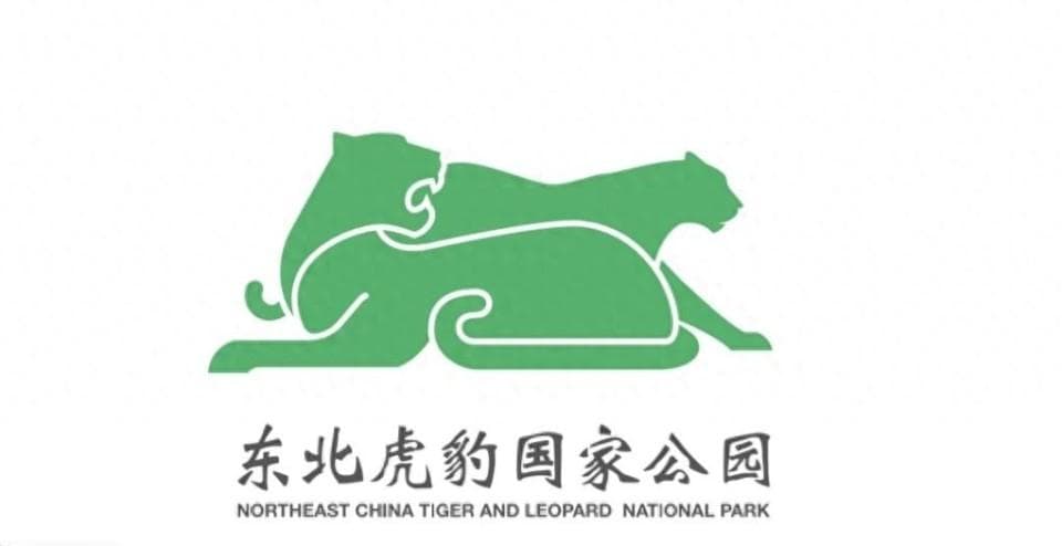 猛兽对决！东北虎豹国家公园拍到老虎追熊，罕见画面曝光！