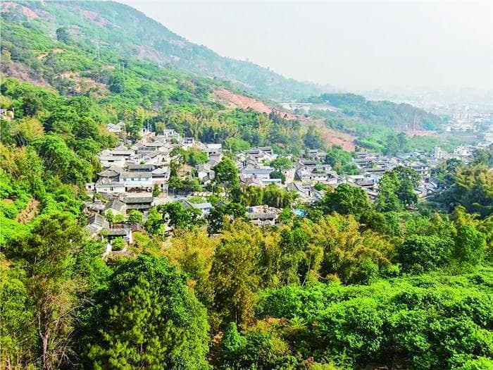 云南施甸西山村：绿荫掩映的回族聚居村