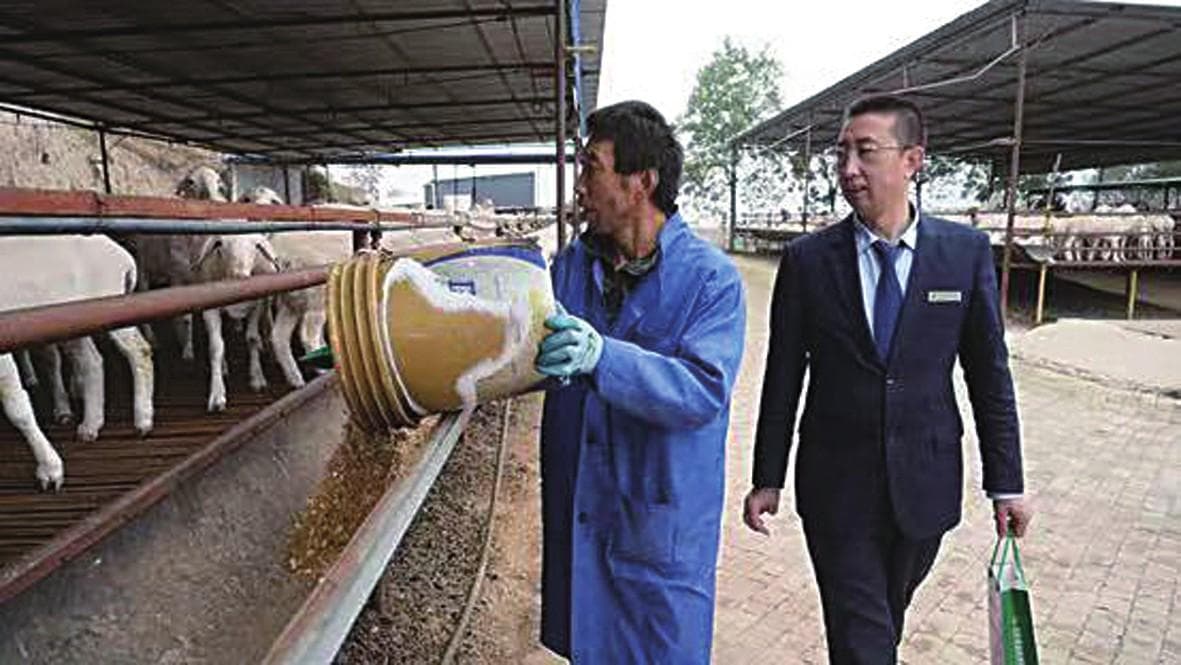 普惠金融提质增效再升级