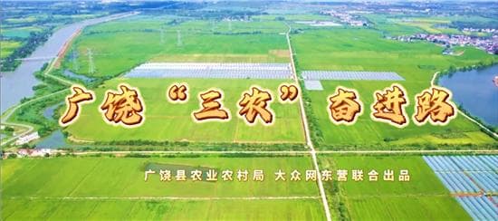 广饶县“智慧养鱼”解锁生态养殖新模式