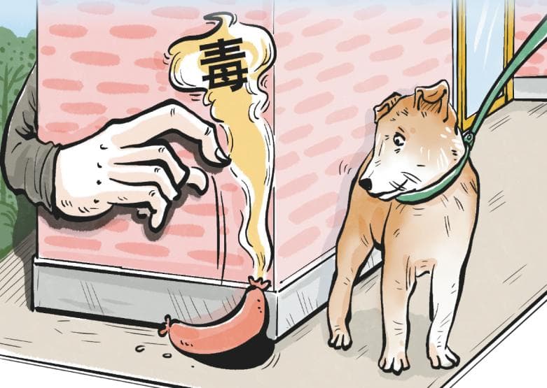 毒杀宠物事件频发，情节严重者或触刑法