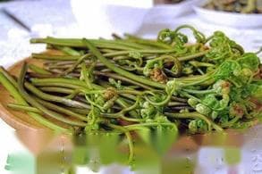 蕨菜怎么洗？蕨菜怎么清洗才干净？