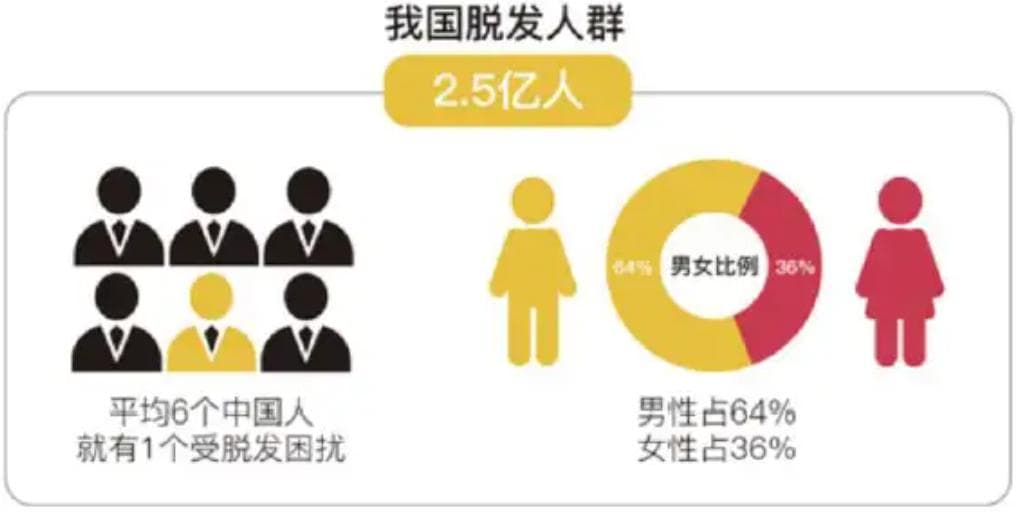 帮你长发VS害你脱发，雄激素的“矛盾点”在这里→
