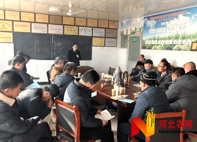 春耕正当时 科技助农兴——豌豆绿色丰产栽培技术培训会在乐亭举办