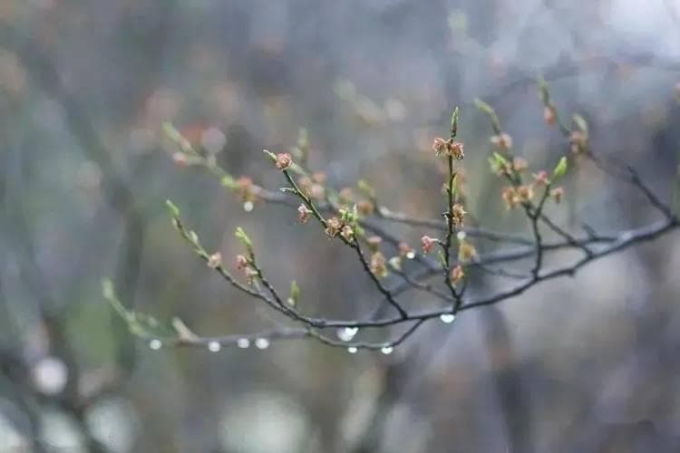 辛弃疾《贺新郎·别茂嘉十二弟》：一首断肠的离别之词