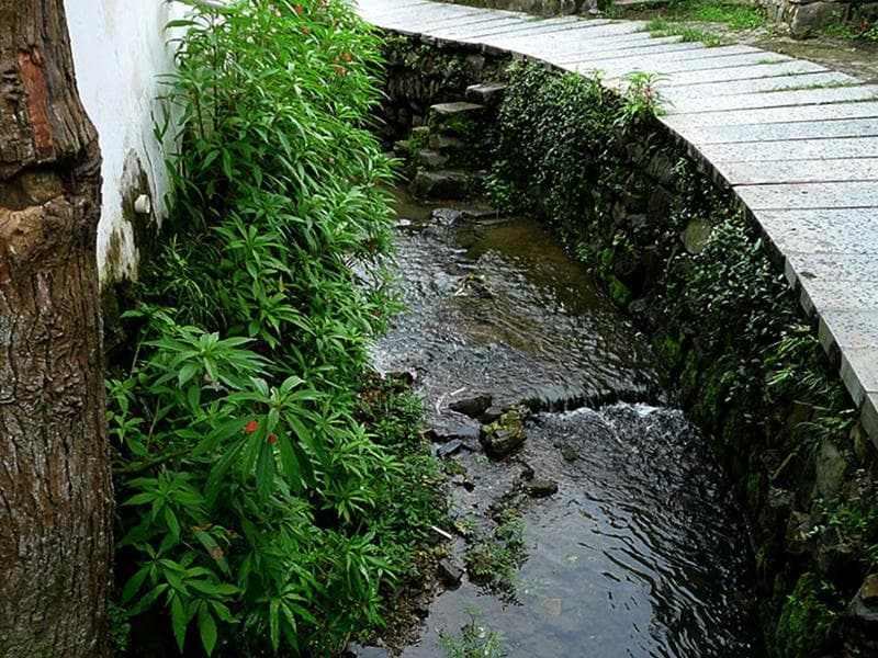 为什么要检测氨氮（ 氨氮的测定方法）