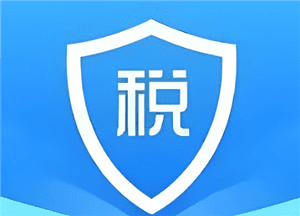 电子税务局实名认证全流程指南