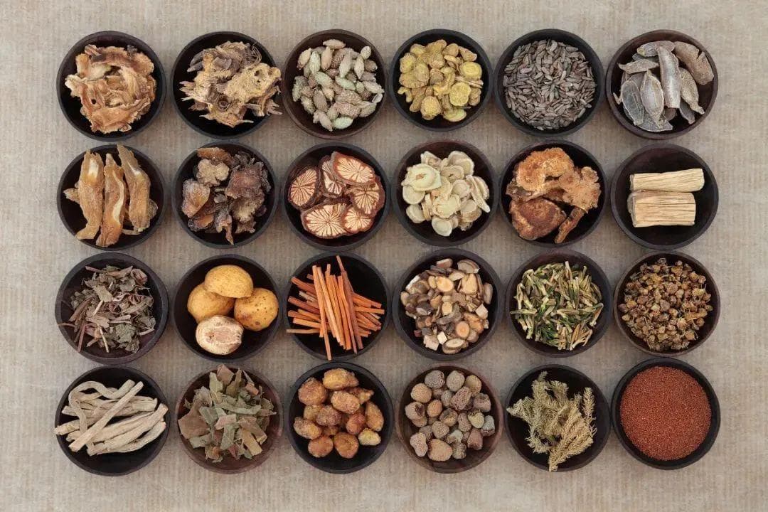 虚损人群必读：10种中药助你提升免疫力