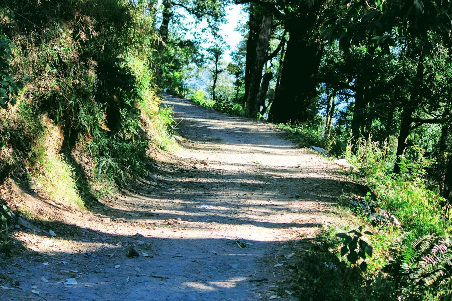 湘西芙蓉镇的春节团圆：从土山路到高铁站