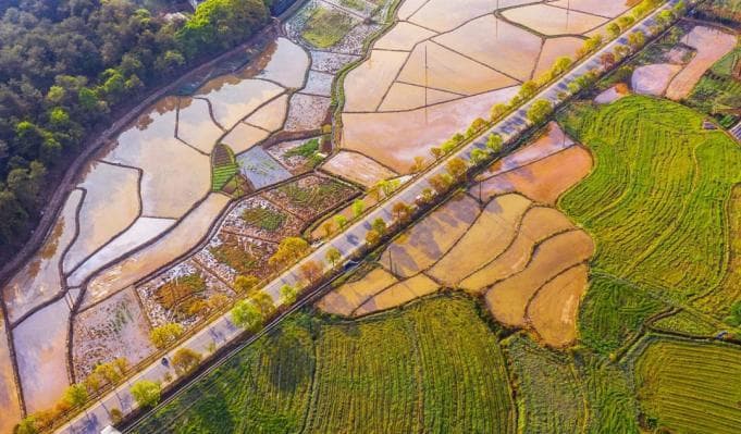 新民乡：让“四好农村路”成为群众的幸福路、致富路