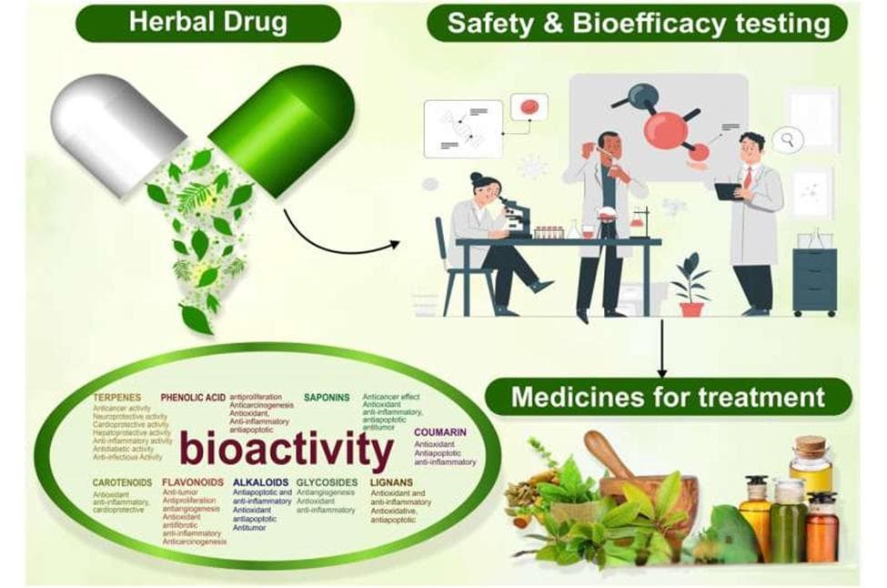 在当代医疗环境中，评价草药的安全有效性和生物活性