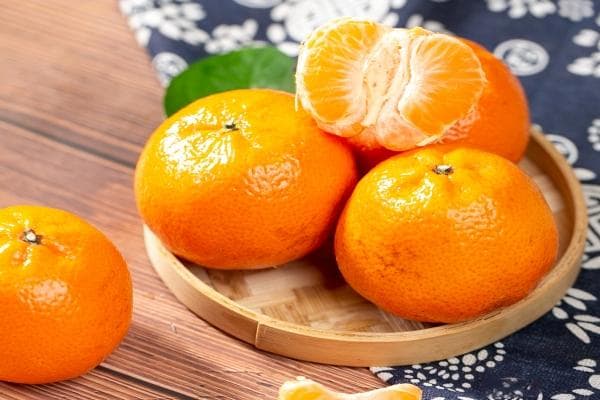 橘子不可以和什么一起吃