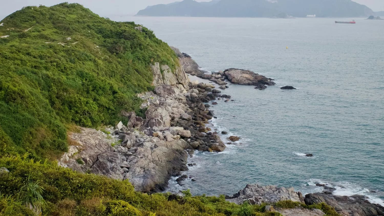 五峙山列岛：白鹭保护的新典范
