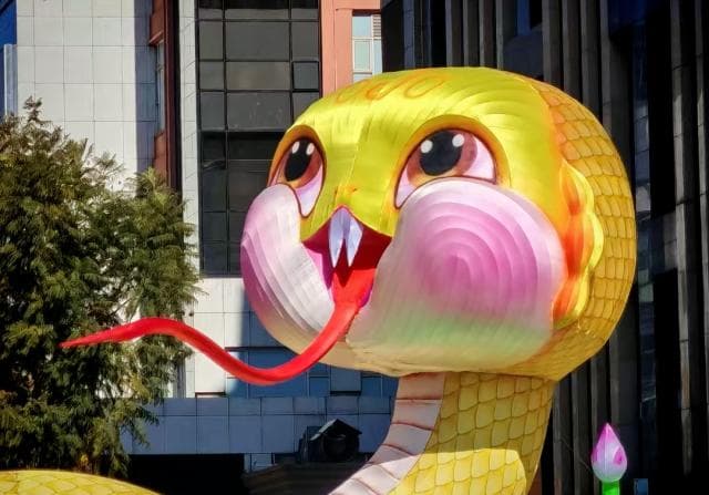 你知道有哪些“蛇药”吗？带你探秘中草药和制剂里的“蛇元素”