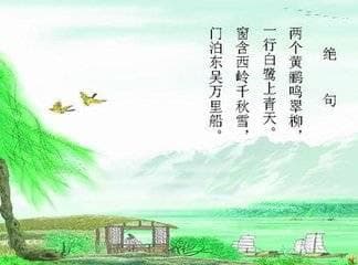 两个黄鹂鸣翠柳：古诗的魅力与深意