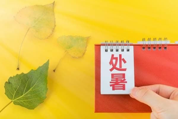 处暑·养生｜饮食应清淡、滋阴润燥，要特别注意情绪调节