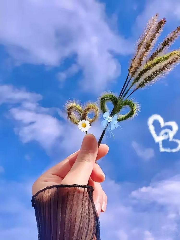人性之“口子”与欲望的边界——在道德与欲望间的抉择