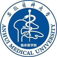 文科生提升高考数学成绩的关键策略，高效备考指南