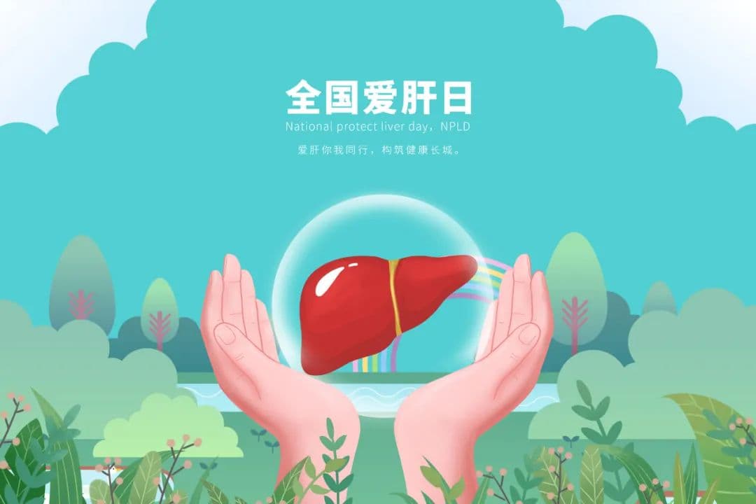 喝凉水都长胖？研究发现：肝“瘦”不下来，可能是这种肠道菌群在“作祟”