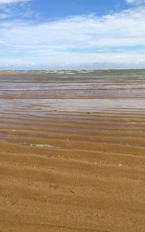 梦见大海涨潮淹死很多人