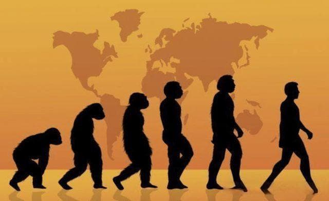 中国多地发现200万年前直立人遗址，挑战人类非洲起源说