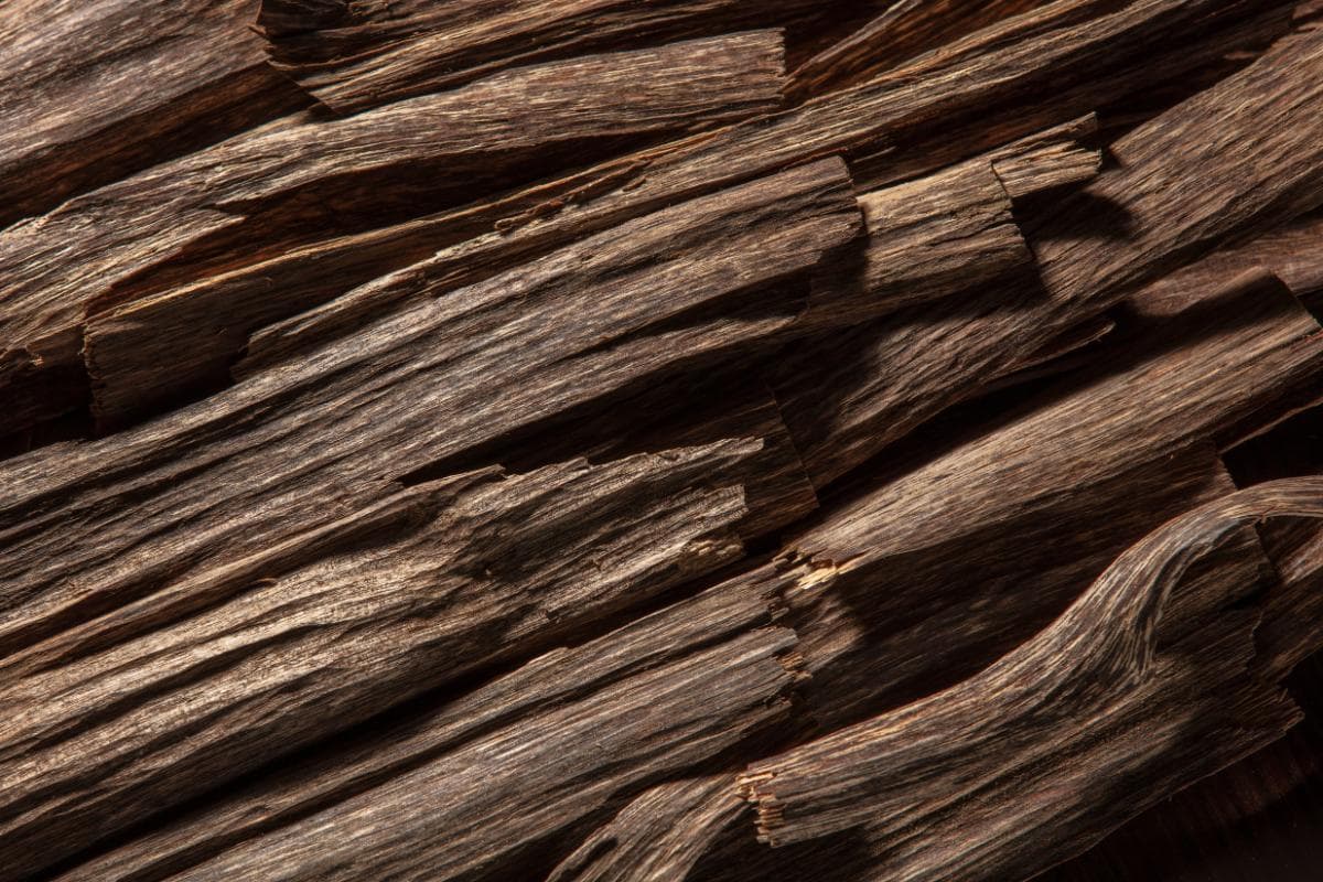 精油原料知识 | 沉香Agarwood：时光知味，岁月沉香
