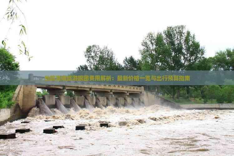 当前海南旅游跟团费用解析：最新价格一览与出行预算指南