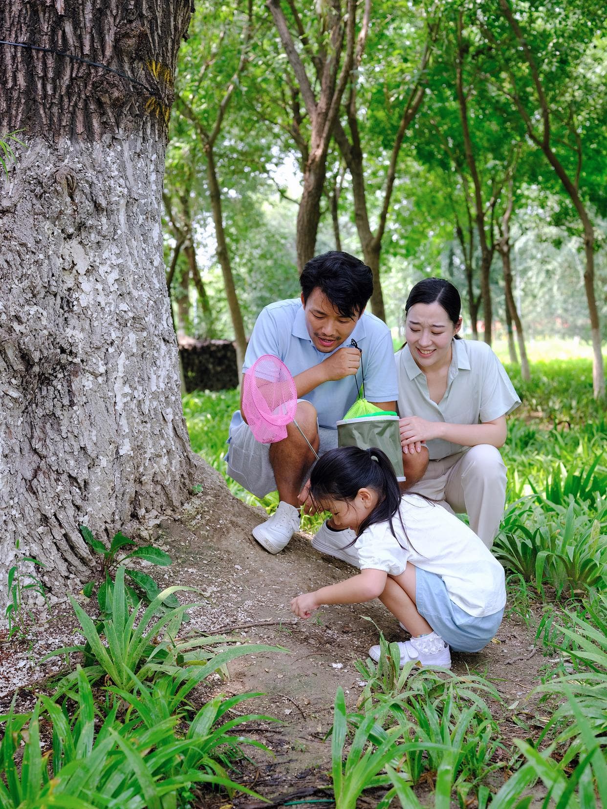 孩子喜欢探索自然？怎样通过户外活动增长知识？
