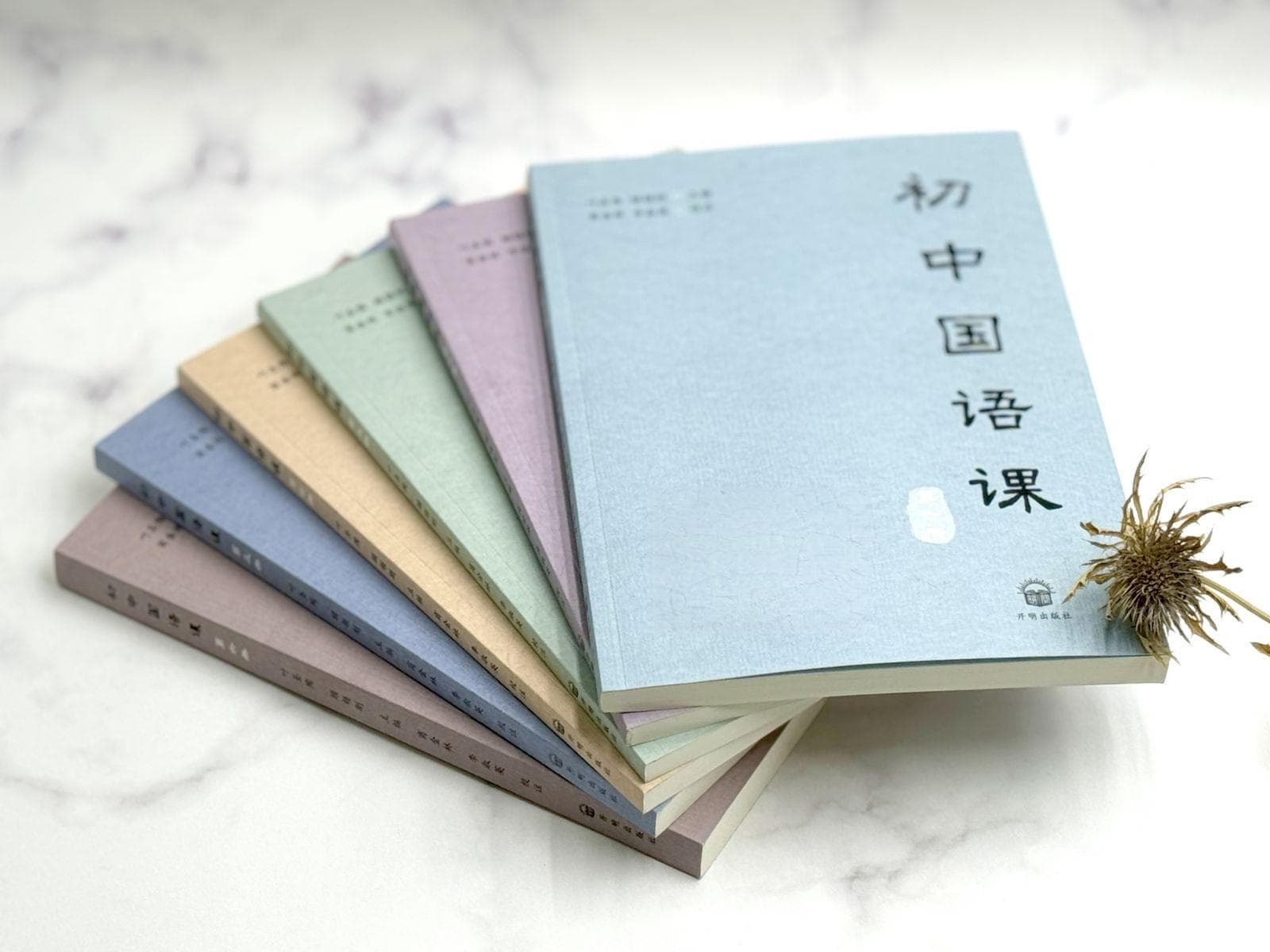 开明出版社推出《初中国语课》新版，增设“延伸阅读”栏目
