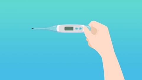 电子体温计的正确使用方法