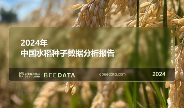 2024年中国水稻种子数据分析简报