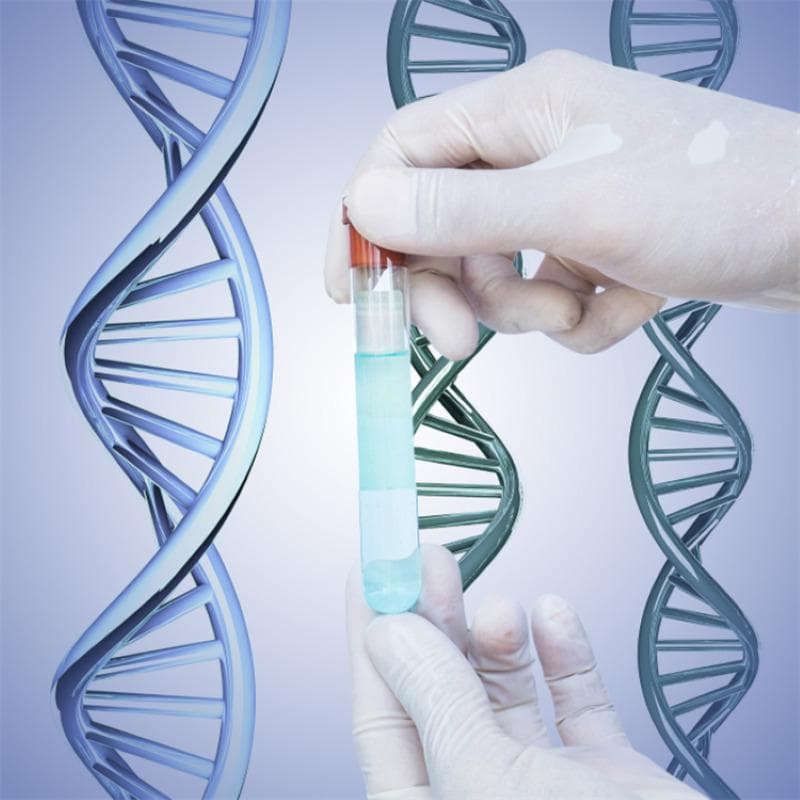 DNA鉴定与生物多样性：揭示物种之间的关系